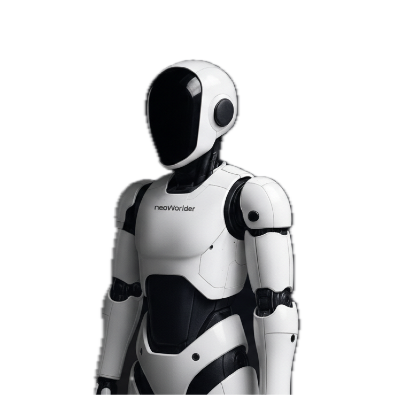 NeoWorlder Robot